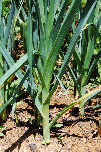 9d4fe8966222efce6852be1795fa6760