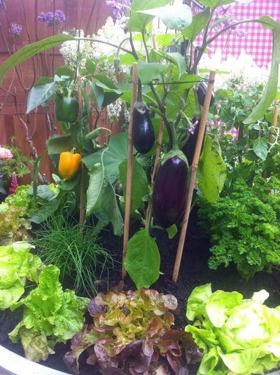 b4db973159ad5686ac5715dcdf09f967