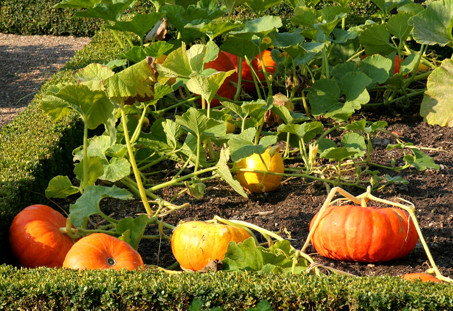 d2pwbc55qpcss0oswkwgw8ww-source-11837839