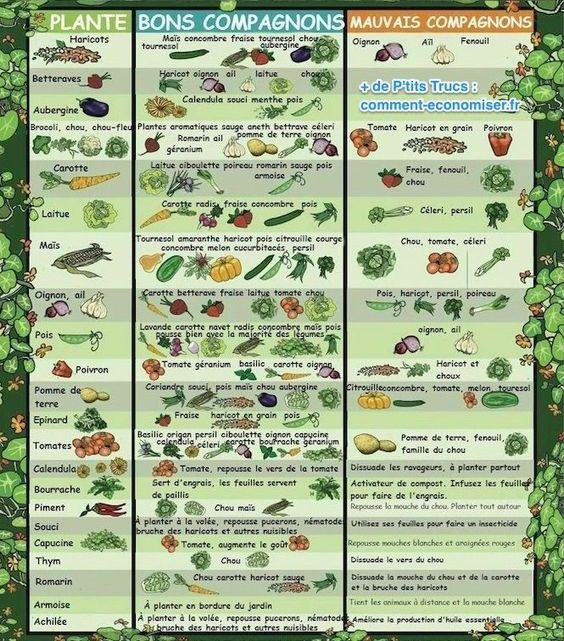 ea1c9002855ff9e7af015c97510f9ff1