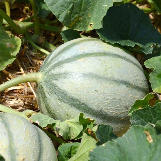 efd3a47cd917027e90f15284f8efaa9e