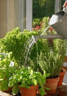 f0aa48e963ed88bbffffca2cc5d34025