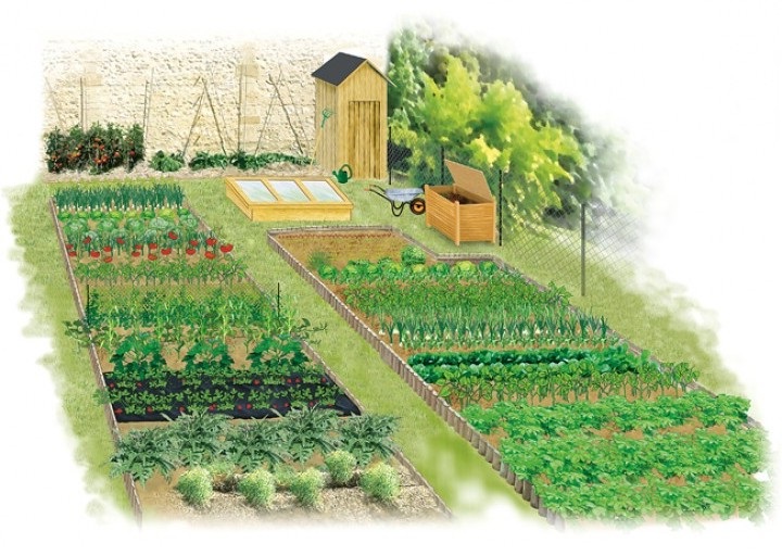 potager
