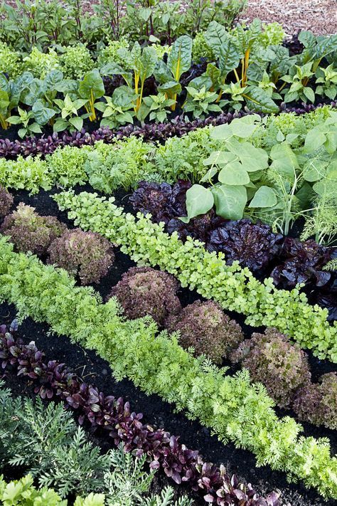 cb06842de335d8c1da3b6d64cdb27aa0