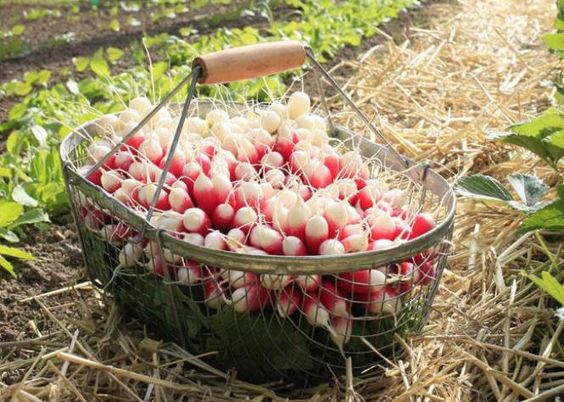 d5a621e94664841b2cc3f8fb910fdcde