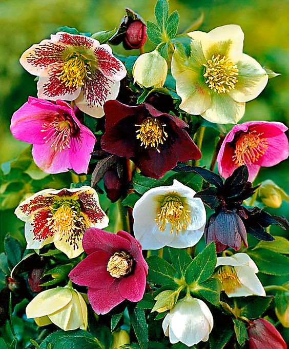 09ad0e4f4606c3867a33de25af44f818