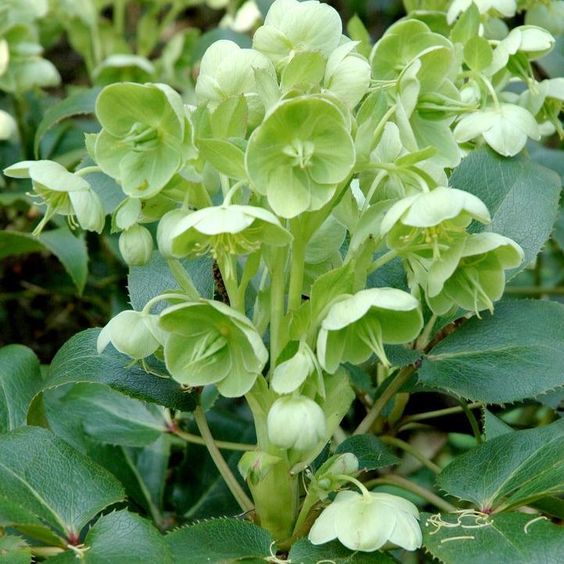 13416ad30b126c1749e580a4acfc5fed