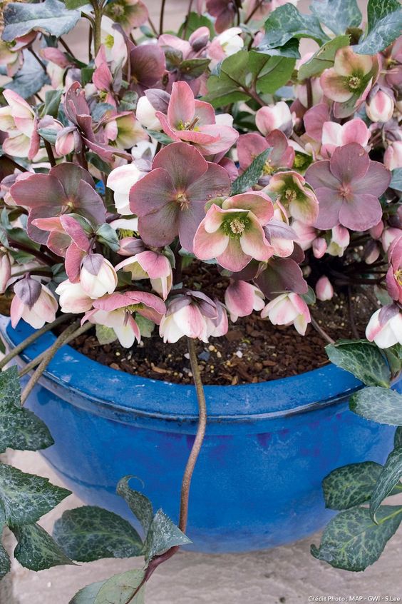 16c8ecfad40a6f1f321ac2f357776b7a