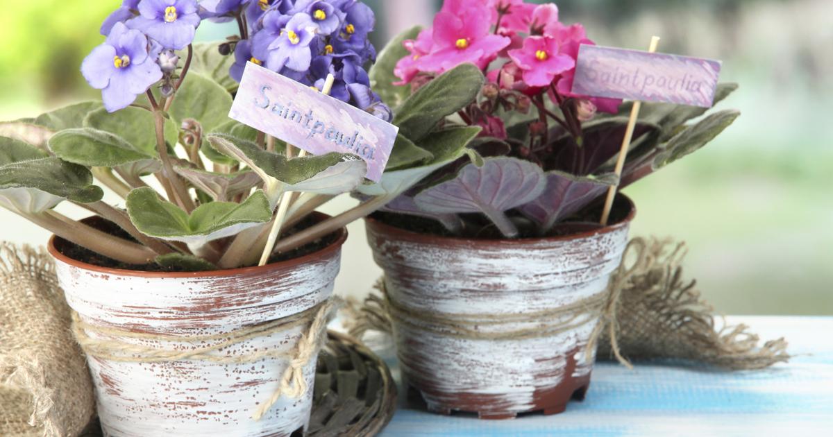 2433c17b3a75c832964e