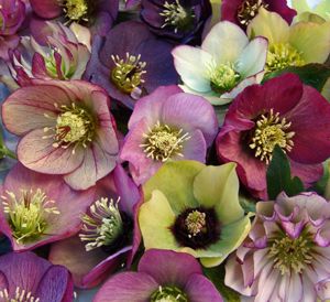 2795d28617ce17ae3ab4fb88436ad6ae