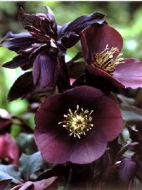 6c8fd615a7321bb2fd8846dd0cfc60d2