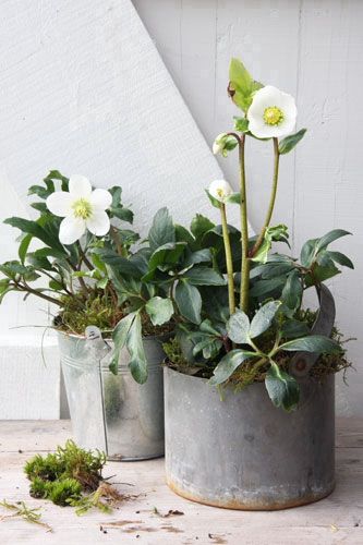 73a286bf181f0123994fdbbcb651da3f