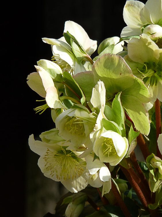 9ab9057f608774d25081d5a78f3f4377