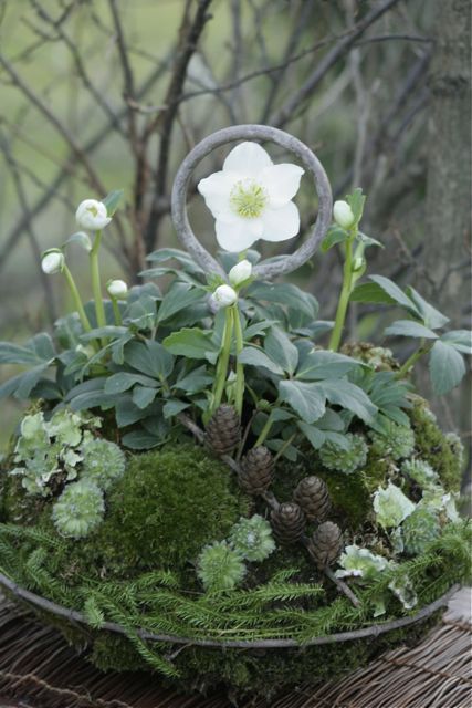 b45e2d3d7a12d57c8a86aab9d7b1b76b