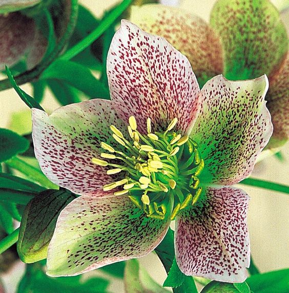 dbf6f4d950fe5f9bb52de2540189fbac