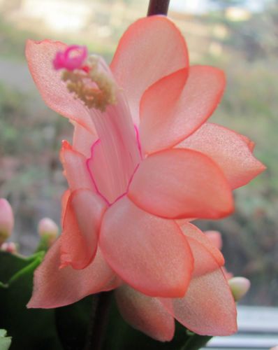 0f10e65a5b47c54db5852f9ac47be0e3