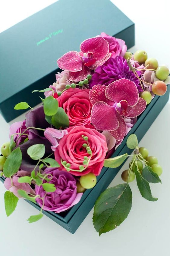 230d179fc4115f66b1390d332df661a3