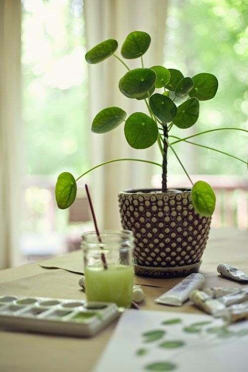 4bd88dbc645ba74916063336f5d43a7d