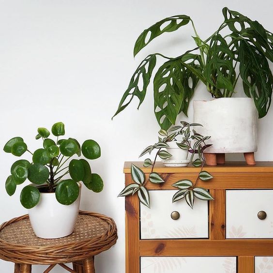 4d1d017fbbaecae4224e8c9572985c2b