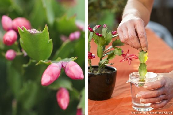 6e8023ea3c777170ad17fa17d8690dc9