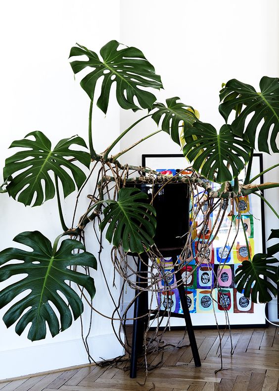 6f28f5507430cc38a8fb4f83f71d762a