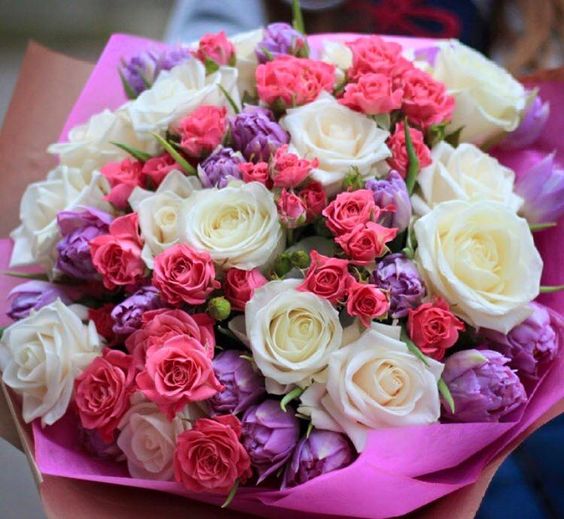 803253f060b875e78c76ce87c836f268