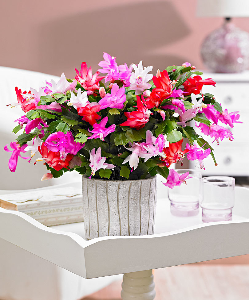 83460-00-BAKI_20140702145137