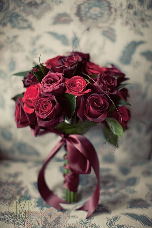 9a92b0a97289c82051b97b6a7647b787