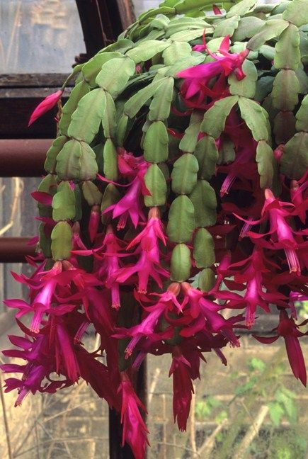 a0d4e35fcf2a6e5a45d60863b71b9b3e