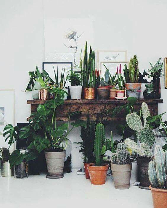 a0e9947bebc65463e72280833c4b8053