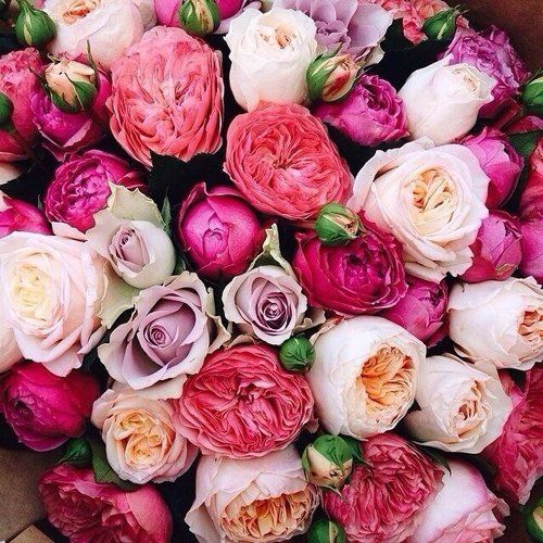 d40793903b01c8eab0368ec4c33a9b03