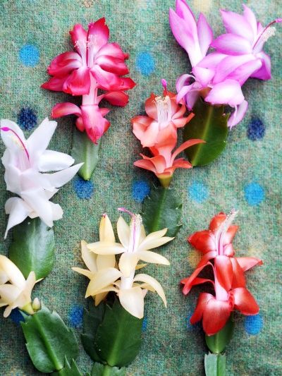 d7b69ad5e7950a4c014253f39a7c8daf