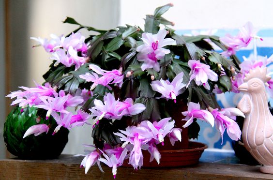 d9230f6a99122919fa82f2d26c75f4d8