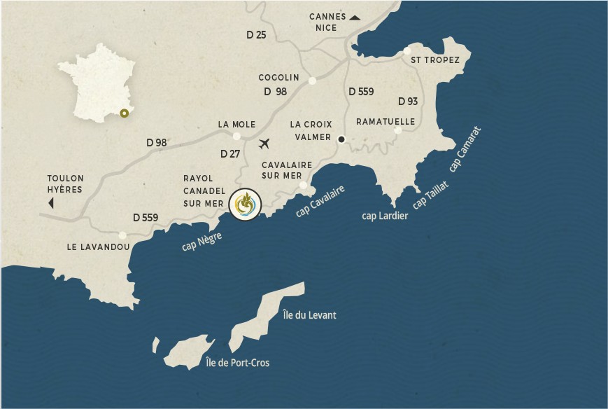 Domaine du Rayol - Le Jardin des Méditerranées - Google Chrome