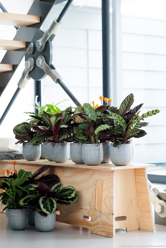 e99378da28957ea36cba451f06e34898