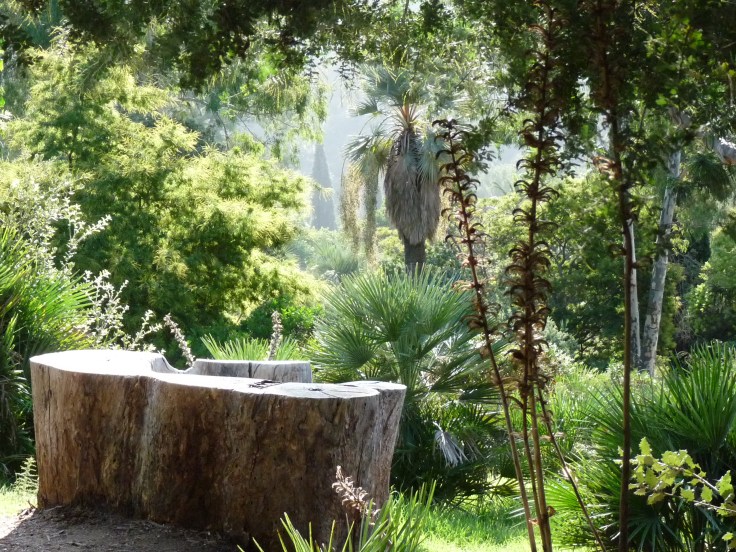 Jardin_d'Australie,_tronc_d'eucalyptus_-_Domaine_du_Rayol