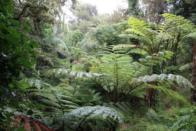 le-jardin-du-rayol-562669