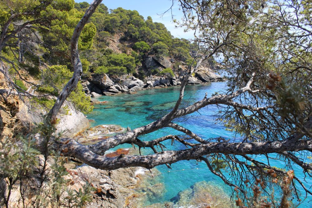 Méd-©-Domaine-du-Rayol-Chloé-ARREGOCES-e1493038881778