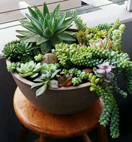 19ef526aa991921452aa18d5d578e914