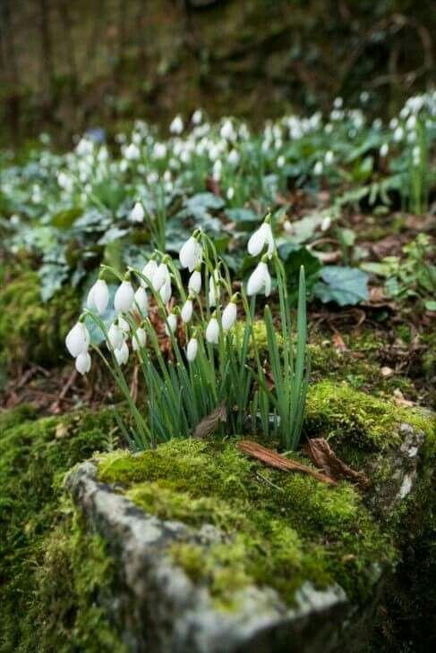 4122728e78f6d09115316b2f35c289af