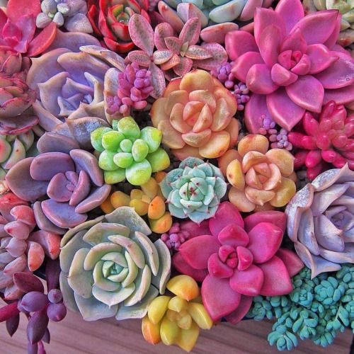 4134a6d11744b79c8f9059a17468890a