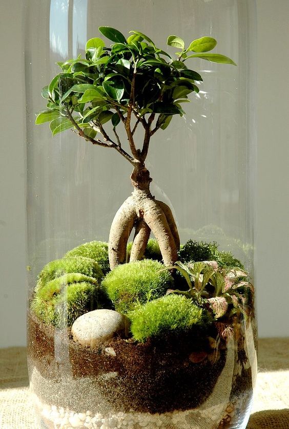 43bce0705149ff43ce8375fac13fdcc3