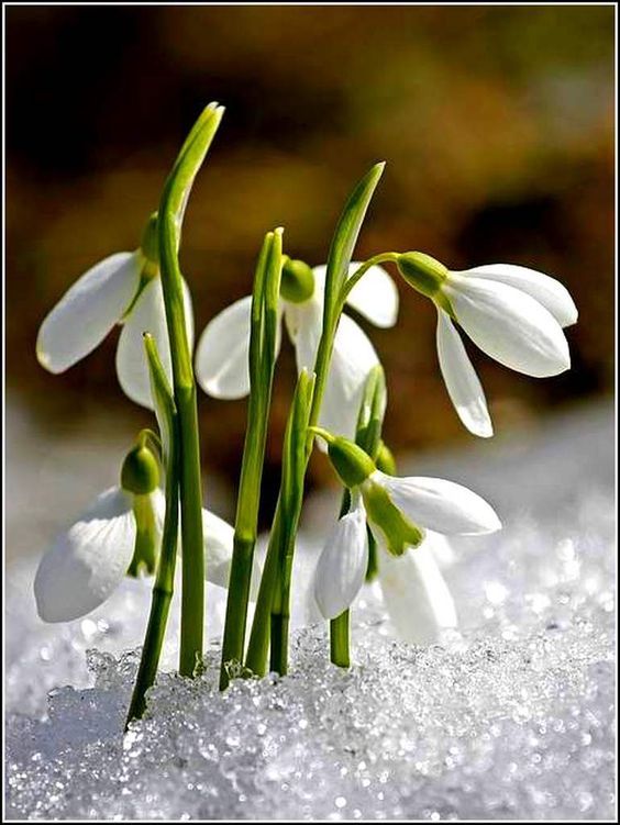 47845f28cf51c3938e8be1d839590164