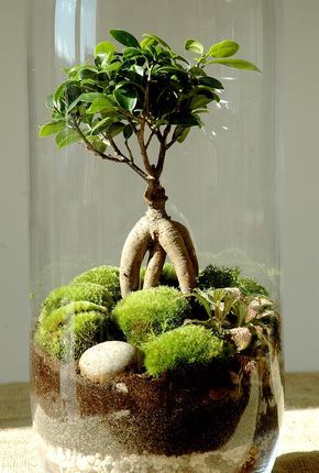 556dbe8d7a6eb241a2a8a4dc805d8337