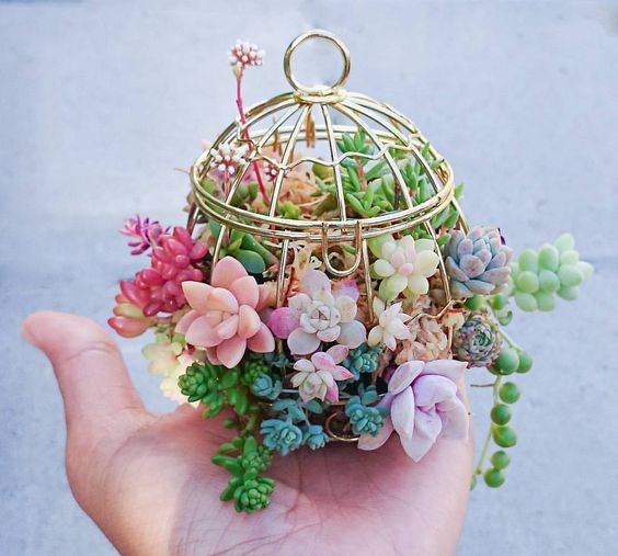 77cb6a8e343845b01c5742bdc18d23c5