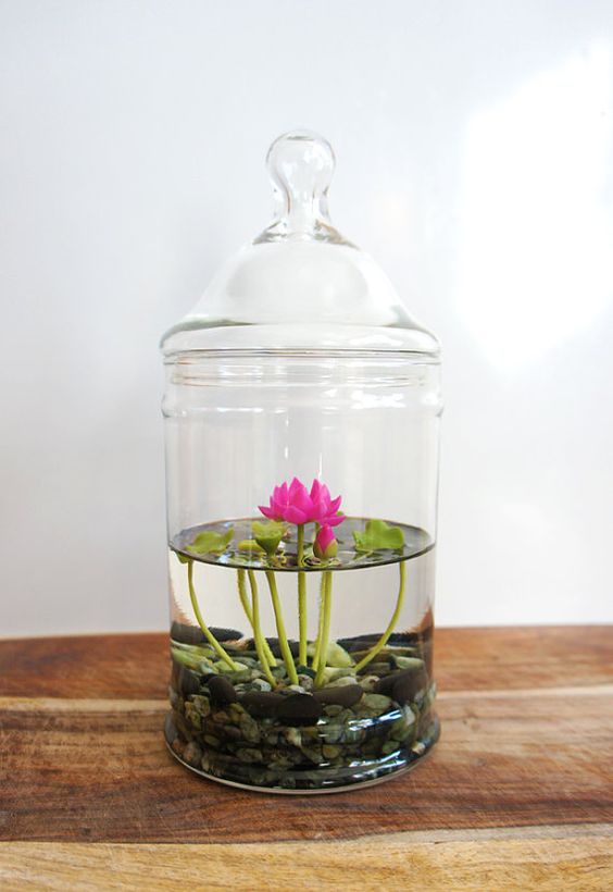 7f544794e396b782ff954a660ccf2622