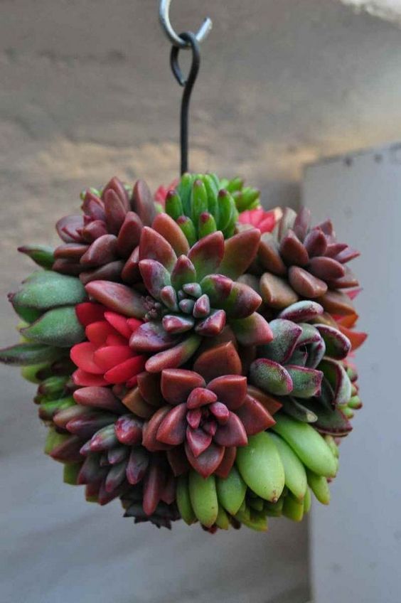 9507904544514a81deef2b7a3cccb5a9