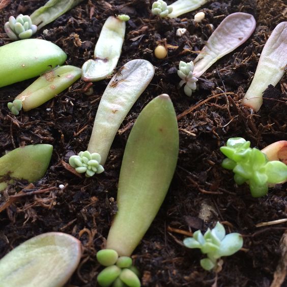 a3ca98dea1eb18aa7fdb40c2bba73861