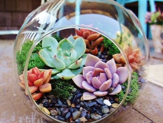 b7933f9d7afaf7d7d9ec21c2f6cc1778