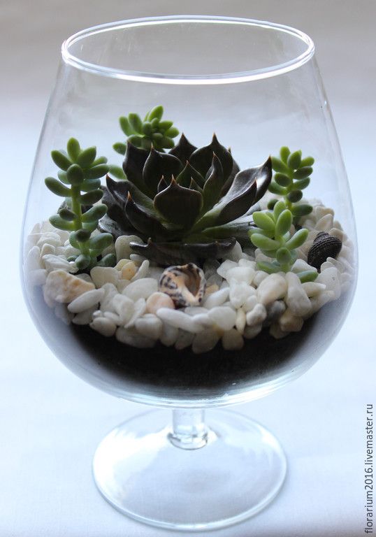 cae2f0e1165fc98e714d9926bf509ade